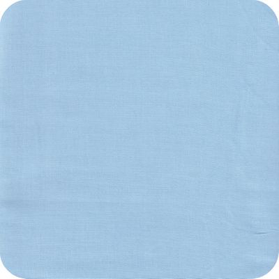 31338 light blue Storybook Solids
